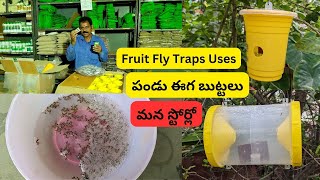 పండు ఈగ బుట్టలు ఇప్పుడు మన స్టోర్లో  Fruit fly traps in our stores for veg and fruit gardens [upl. by Smitt286]