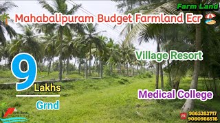 🆔 1334🌴9 Lakh Budget Farmland For sale in Chennai ecr🌴Mahabalipuram SMART City ⛱️Medical clg🌴MrAshi [upl. by Barsky]