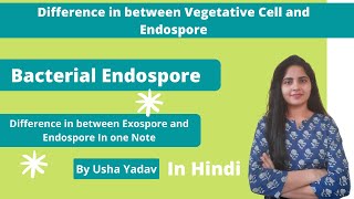 Bacterial Endospore  Difference in between vegetative cell and Endospore Microbiologyseries [upl. by Leunam296]