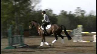 Phillip Dutton Pro Tips  Horse Jumping Tips  Horse Jumps [upl. by Rekoob212]