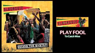 Alborosie  Play Fool Official Audio [upl. by Adnertal]