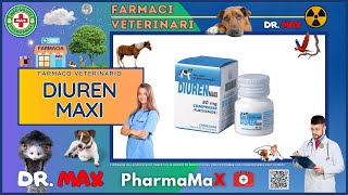 🐶 DIUREN MAXI Farmaco Veterinario a cosa serve   Foglietto Illustrativo 👔 Dr MAX [upl. by Ayek]