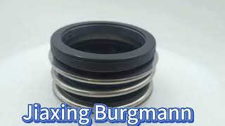 Elastomer Bellows Rotating Industrial Mechanical Seals MG1 Model For Water Pump [upl. by Lleynad]