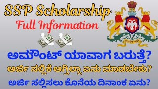 SSP Scholarship doubts on amount Credited Last date and Errors 2024 [upl. by Page966]