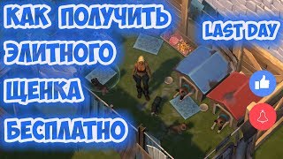 ЗАБРОШЕННЫЙ ДОМ  КАК ПОЛУЧИТЬ ЭЛИТНОГО ЩЕНКА ДАРОМ  LAST DAY 111 [upl. by Horodko]