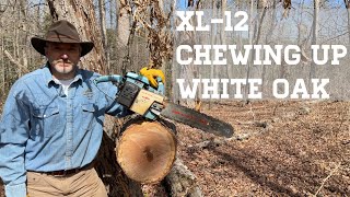 Vintage 1970s Homelite XL12 Chainsaw Review [upl. by Nagirrek]