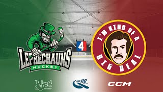 Leprechauns v Big Deals  Div 4  20th November  IceHQ Rec League ice hockey [upl. by Vasti]