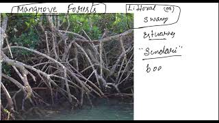 Indian Geography  Natural Vegetation of India [upl. by Eneleahs]