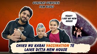 Chikku Nu Karai Vaccination Te Laike Ditta New House  Gursirat Gurfateh Fam Vlogs [upl. by Ecnahoy196]