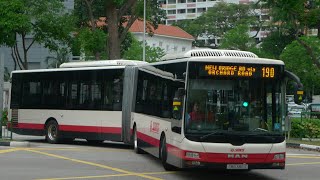 SMRT Bus Service 190 SMB388S Full Trip Direction 1 [upl. by Gillett]