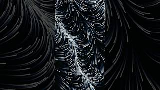 Flow field  generative art creativecoding mathart abstractart [upl. by Anigger834]