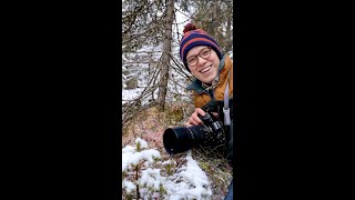 The Mighty Sphagnum Moss  The Northern Peatlands Project  Twolined Tracks Episode 1 [upl. by Woermer69]