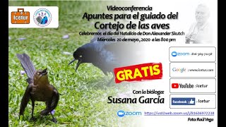 Apuntes para el Guiado sobre el cortejo de las aves [upl. by Bert]