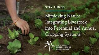 Mimicking Nature Integrating Livestock into Perennial and Annual Cropping Systems [upl. by Yramliw]