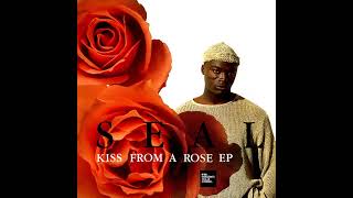 Seal  Kiss From A Rose LYRICS FM HORIZONTE 943 [upl. by Carrie]