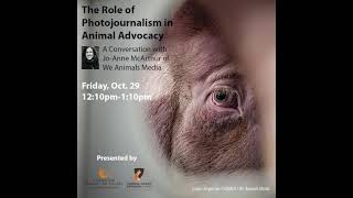 The Role of Photojournalism in Animal Advocacy [upl. by Alroi]