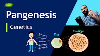 Theory of Pangenesis  Gemmules  Transmission of Characters  Basic Science Series [upl. by Adrienne]