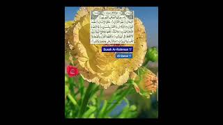 Surah ArRahman ♡  Al Quran ♡  The Straight path  صراط المستقيم [upl. by Dnumyar]