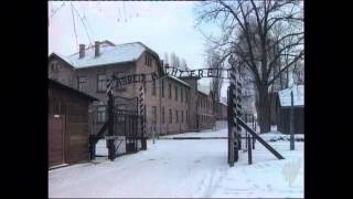 Auschwitz survivor tells her story [upl. by Symon]