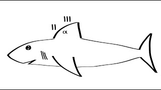 Obstructive Capnography Waveform [upl. by Santini364]