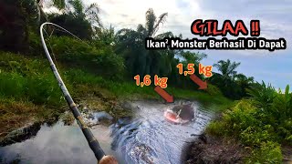 EDANN  CASTING IKAN GABUS KETIKA AIR SURUT BANYAK BABON YANG MENGGANAS AS198 [upl. by Ydnab936]