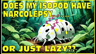 Does My Isopod Have Narcolepsy A Boring Video [upl. by Larok]