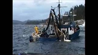 Southeast Alaska purse seining the coast 2 [upl. by Enneles]