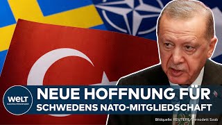 HÜRDE GENOMMEN Türkischer Parlamentsausschuss billigt NatoBeitritt Schwedens [upl. by Doughty]