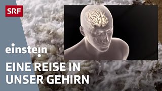 Das menschliche Bewusstsein – Eine Reise in unser Gehirn  Einstein  SRF Wissen [upl. by Celina758]