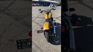 2019 HarleyDavidson Softail Slim in Rugged Gold Denim [upl. by Oatis]