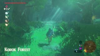 The Legend of Zelda Breath of the Wild  How to get through the Lost Woods Guide  SPOILERS [upl. by Namzaj]