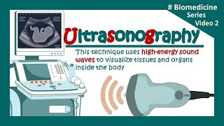 Ultrasonography  USG  The Principles of Ultrasound Imaging  Clinical application of USG  Biology [upl. by Yahsed]