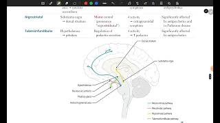 Limbic System amp Dopaminergic Pathways  USMLE First Aid Step 1 [upl. by Rock]