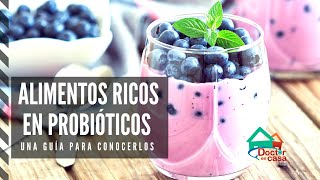 Alimentos que contienen probióticos [upl. by Adeirf]