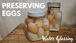 How to preserve fresh eggs for longterm storage without refridgeration [upl. by Serena203]