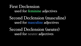 First and Second Declension Adjectives [upl. by Breskin442]