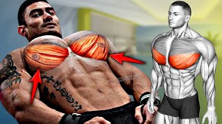 5 Best Exercise quotLOWER CHESTquot Workout [upl. by Einnej952]