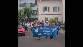 ⬛️⬜️🟥 Germany Oberursel  Taunus 🇩🇪 28062023 Freedom Rally [upl. by Weirick705]