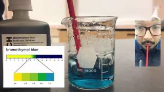 BTB Solution  Dissolved Oxygen Lab Introduction [upl. by Nhguav]