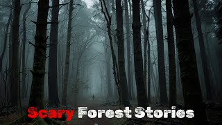 Scary TRUE Forest Stories [upl. by Nimref]