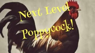 Next Level Poppycock [upl. by Corenda952]