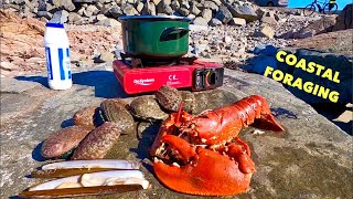 COASTAL FORAGING  Big Lobster  Razor Clams Abalone  Crabs amp Flatfish  Beach COOKING [upl. by Cohin]