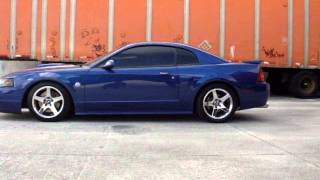 2004 Mustang GT IRS swapped w 99 spoiler walkaround Part 1 [upl. by Eugenio502]