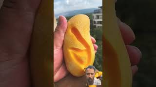 Enjoy Beautiful Dried Persimmon fruit shorts viralvideo [upl. by Norrab191]