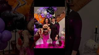 Happy Fluffin Halloween 🎃 shortvideo shortfeed dog shorts funnyshorts funny cute [upl. by Mariejeanne]