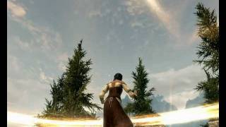 Skyrim Camera Guardian Circle Invisibility console commands [upl. by Yzzik652]