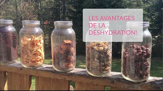 Les avantages de la déshydratation [upl. by Goldshlag634]