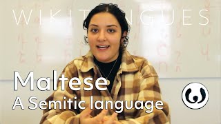 The Maltese language casually spoken  Elena speaking Maltese  Wikitongues [upl. by Winfield]