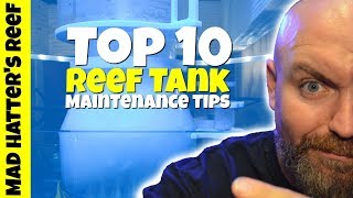 Top 10 Reef Tank Maintenance Tips [upl. by Reece289]