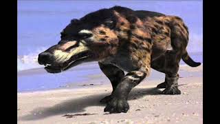 Sound Effects  Andrewsarchus [upl. by Googins329]